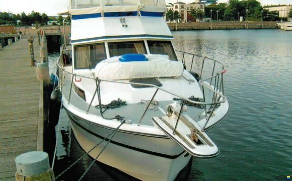 Edership 37
