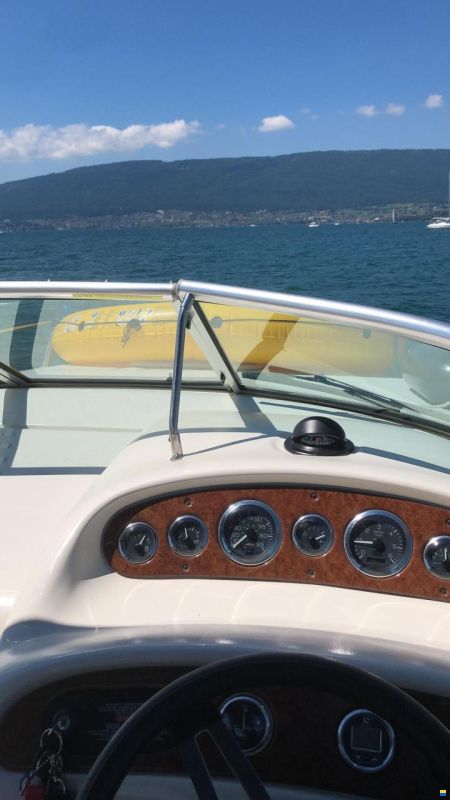 Sea Ray Sundancer 240 DA