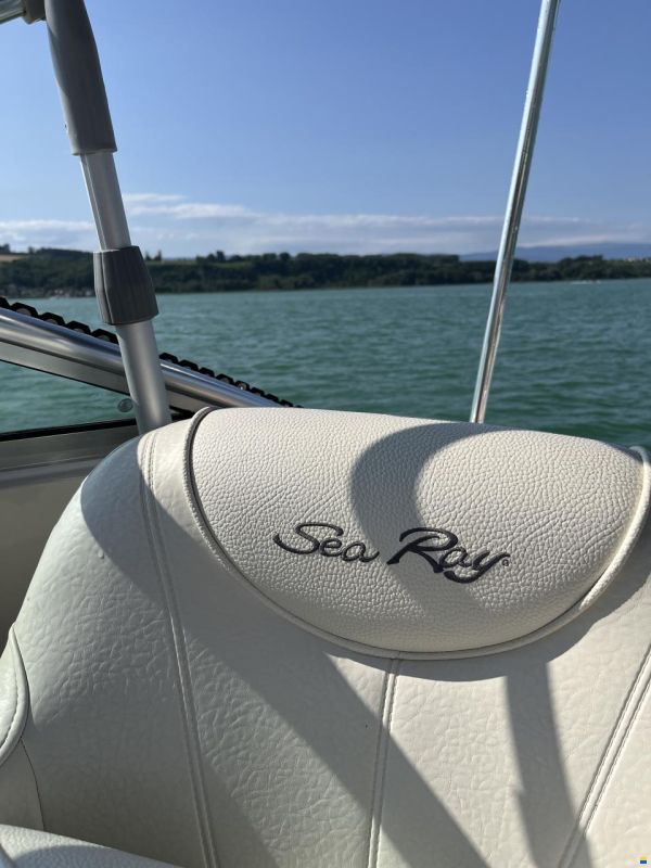Sea Ray Sundancer 240 DA