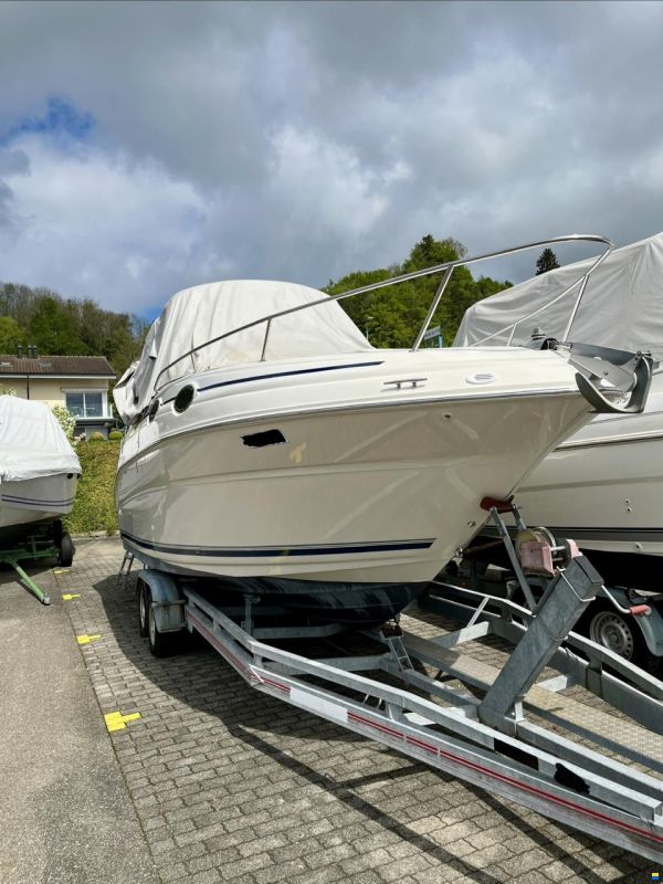 Sea Ray Sundancer 240 DA