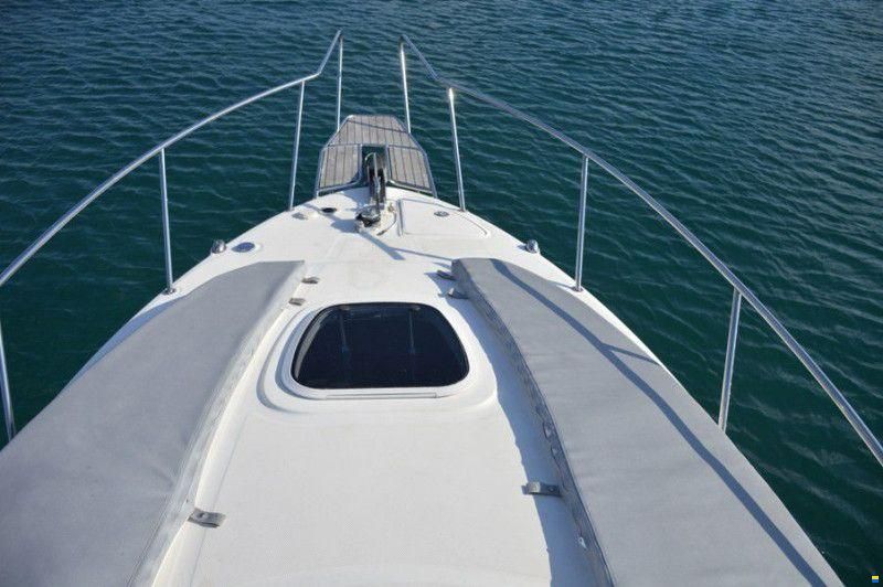 Sea Ray 275 Amberjack