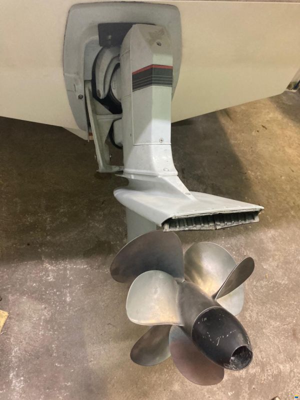 Cranchi Clipper 760 mit ALU Trailer
