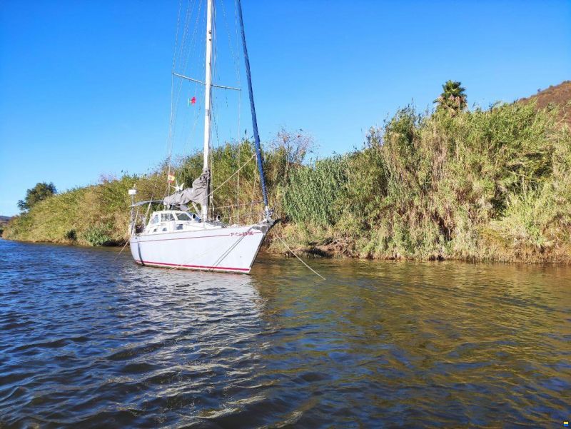 Van de Stadt Caribean 40