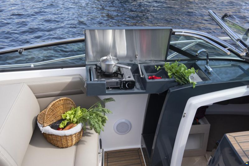 Flipper 800 Daycruiser