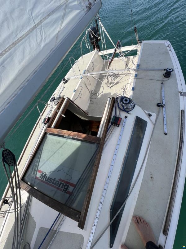 Elvström Mustang Mariager