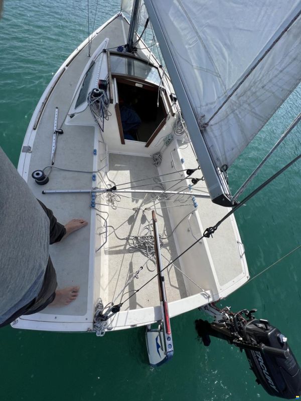 Elvström Mustang Mariager