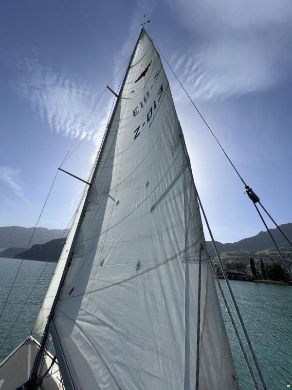 Elvström Mustang Mariager