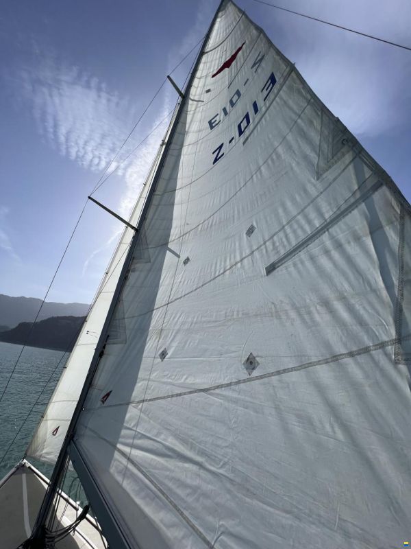 Elvström Mustang Mariager