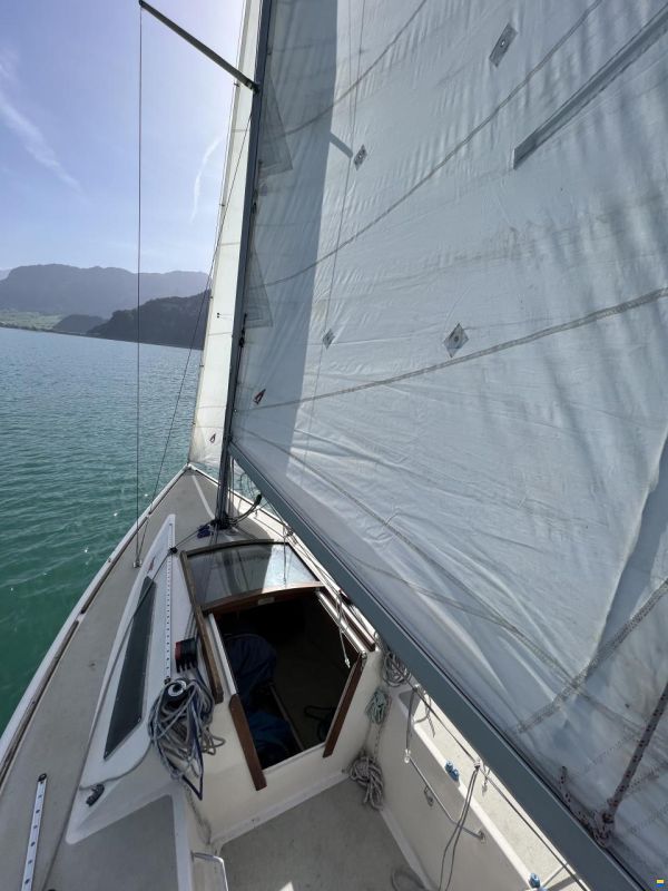 Elvström Mustang Mariager