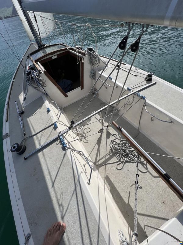 Elvström Mustang Mariager