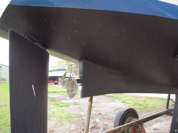 Neptun 31