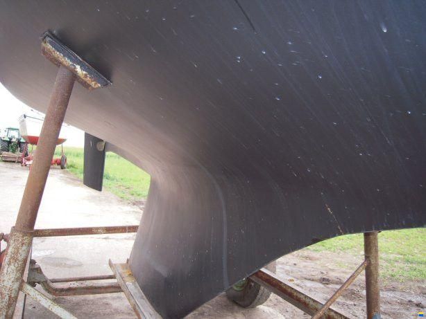 Neptun 31