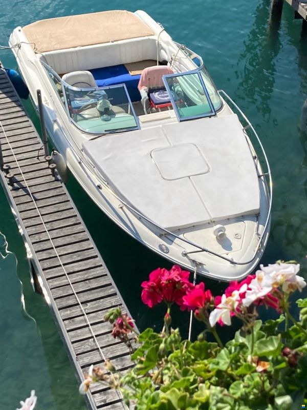 Sea Ray 230 OSE