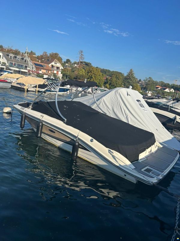 Sea Ray SPX 210