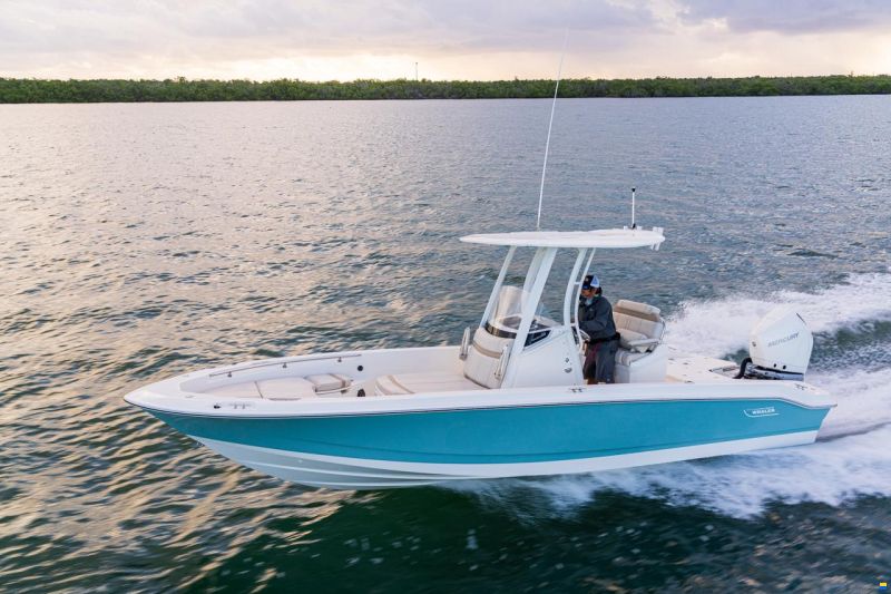 Boston Whaler 250 DAUNTLESS