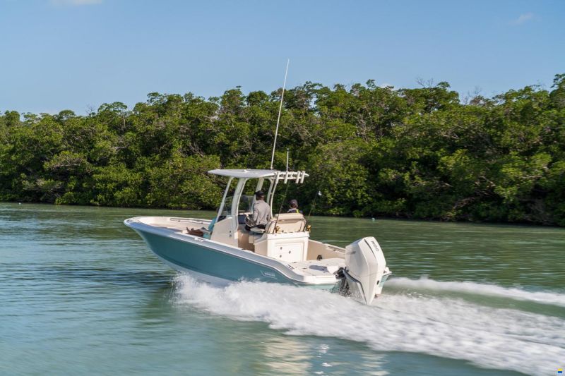 Boston Whaler 250 DAUNTLESS