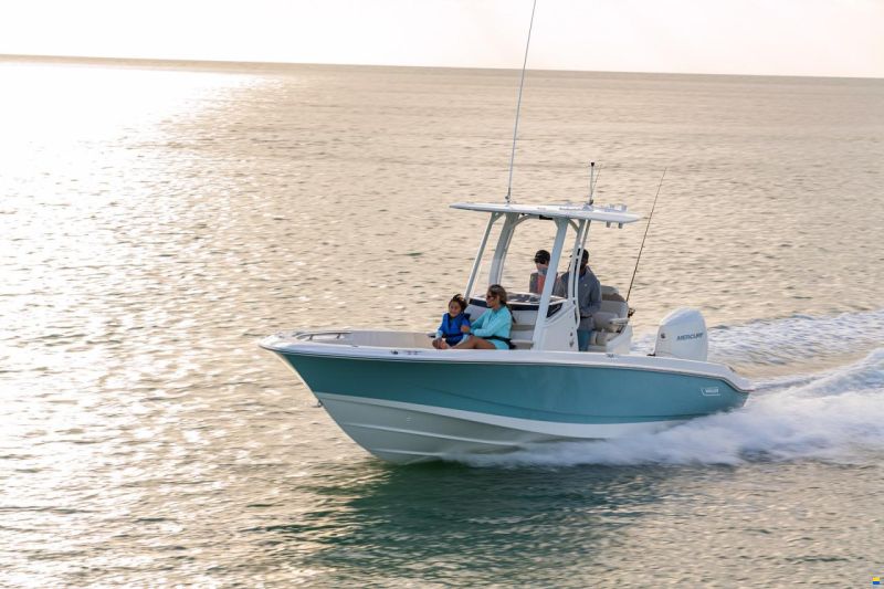 Boston Whaler 250 DAUNTLESS