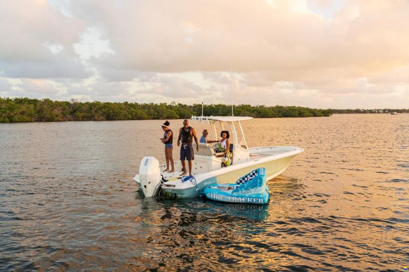 Boston Whaler 250 DAUNTLESS