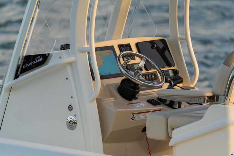 Boston Whaler 250 DAUNTLESS