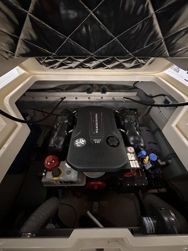 Invictus GT280 Vollausstattung Süßwasser 2. Hand