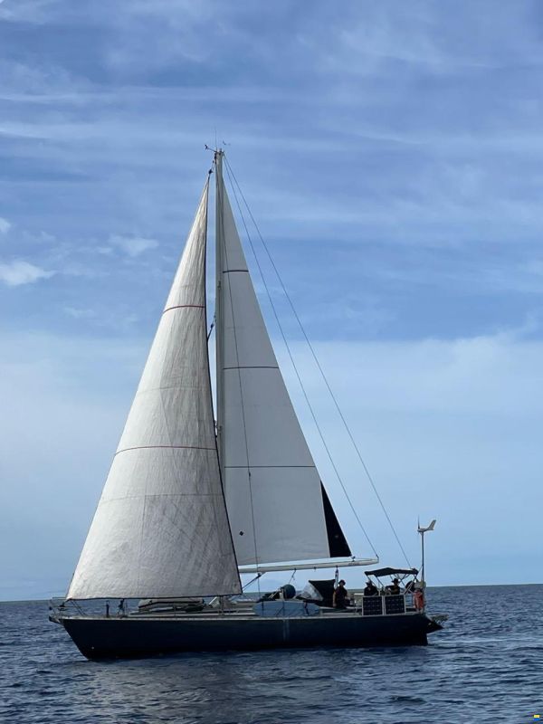 Comar Comet 46