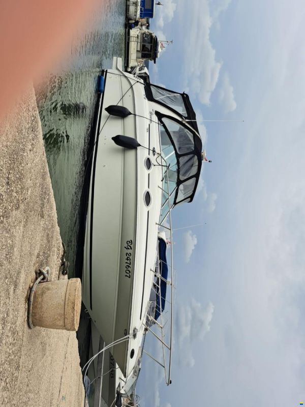 Sea Ray 260