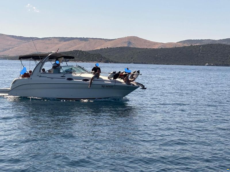 Sea Ray 260