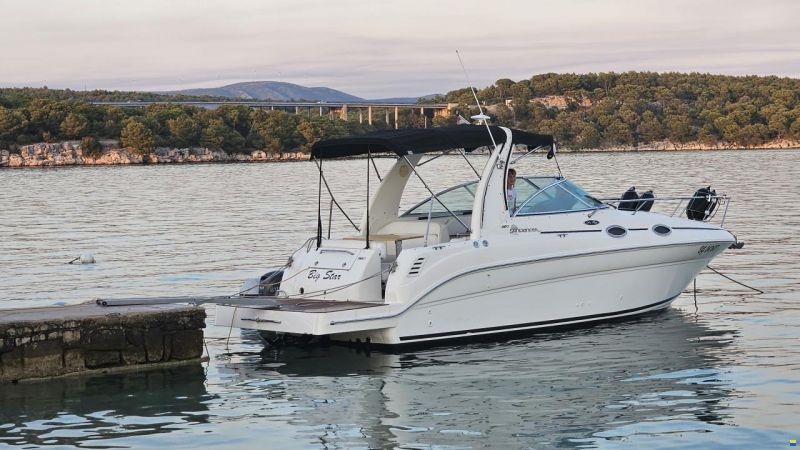 Sea Ray 260