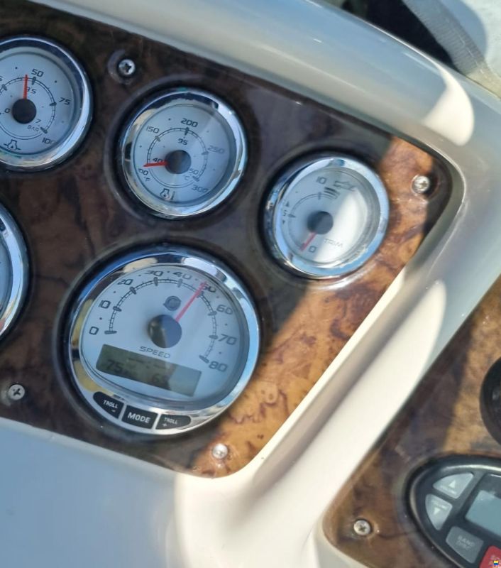Sea Ray 260