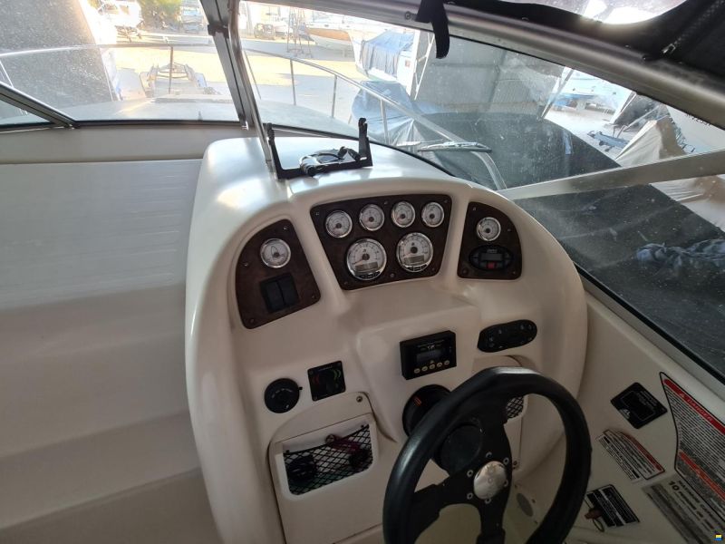 Sea Ray 260