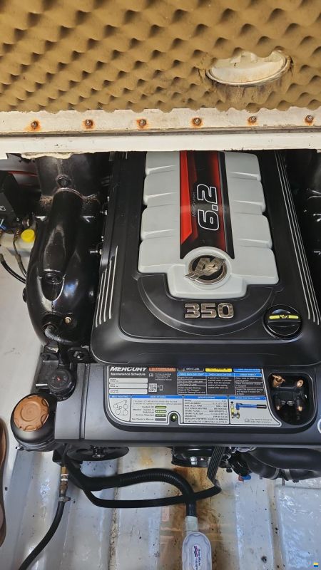 Sea Ray 260