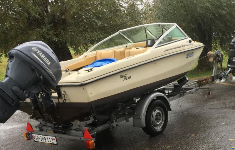 Hellwig Triton TS