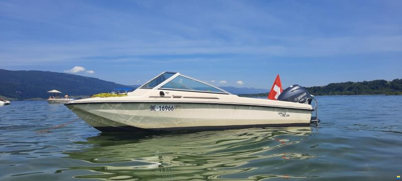 Hellwig Triton TS