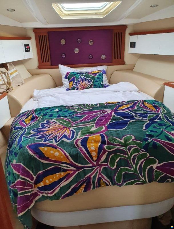 Sealine S38