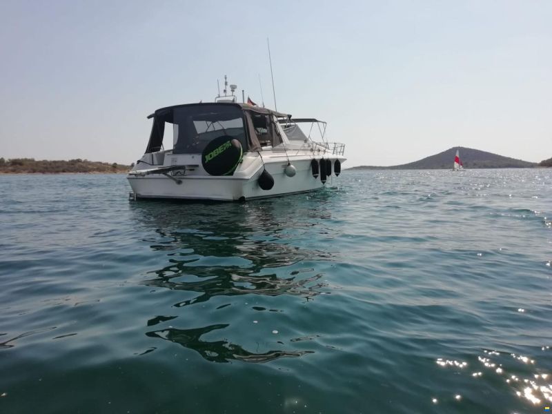 Sea Ray 440 SD