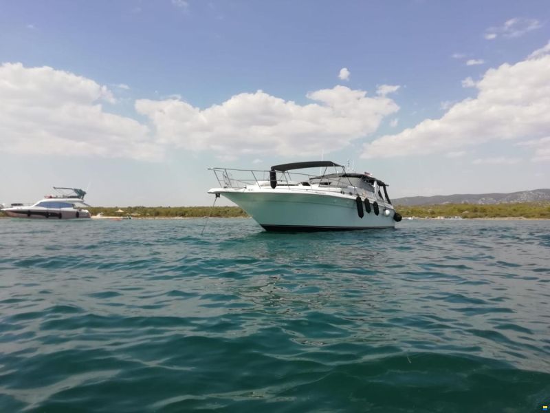 Sea Ray 440 SD