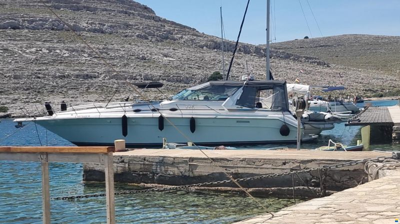 Sea Ray 440 SD