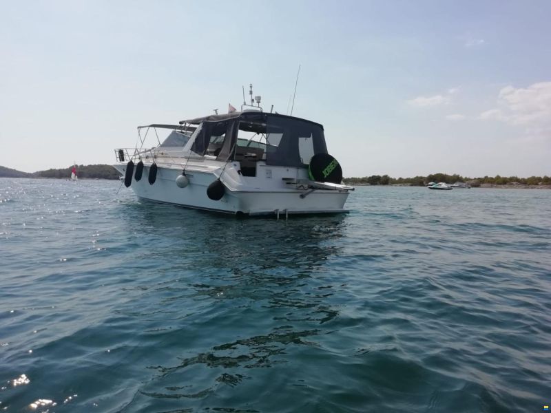 Sea Ray 440 SD