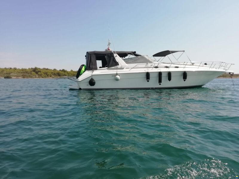Sea Ray 440 SD