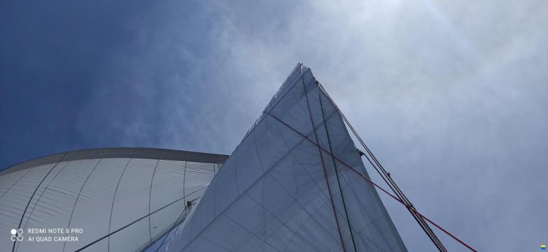 Catana 55