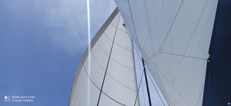 Catana 55
