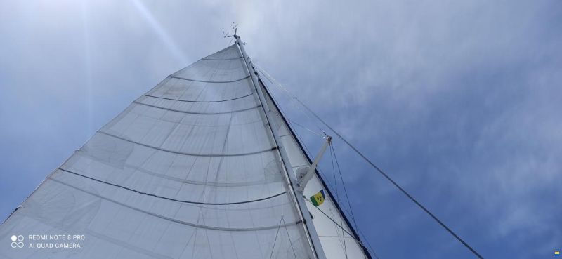 Catana 55