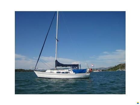Hallberg-Rassy Monsun 31