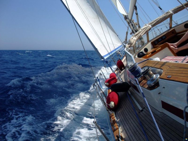 Najad Aphrodite 51