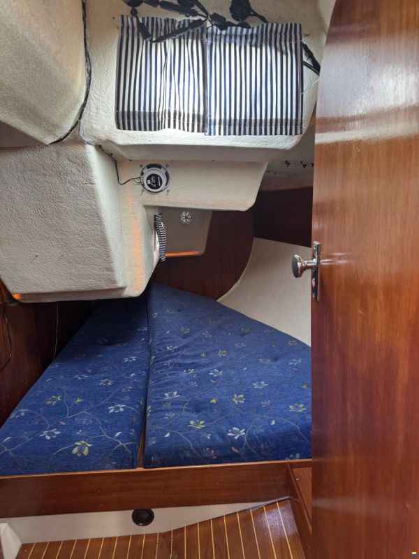 Fabola Diva399