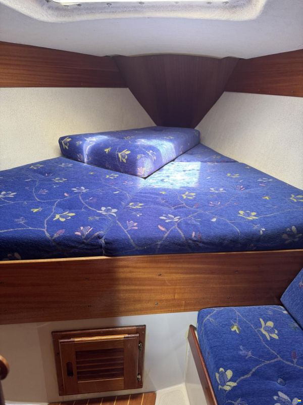 Fabola Diva399