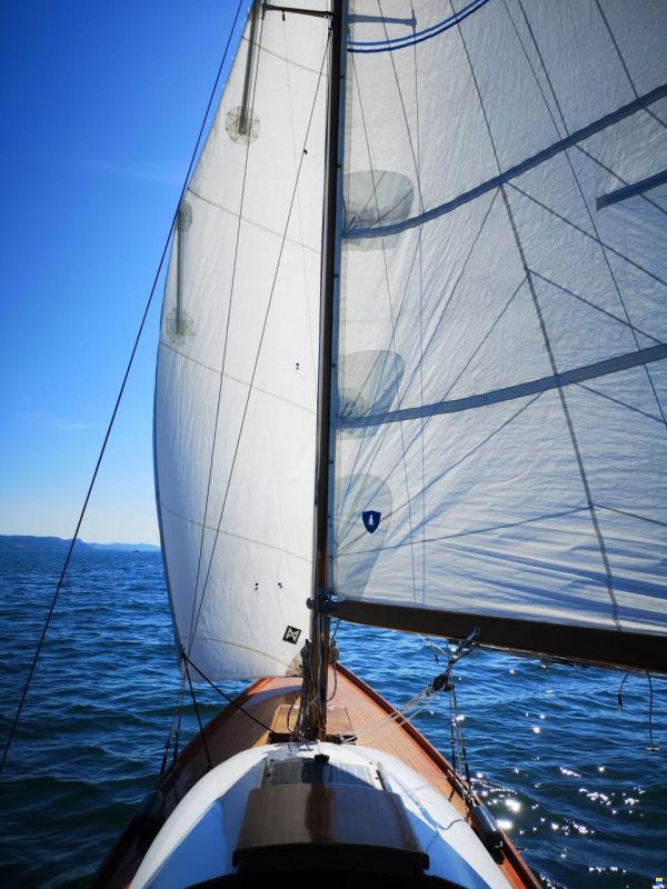 Tore Holm Nordischer Kreuzer 5 1/2
