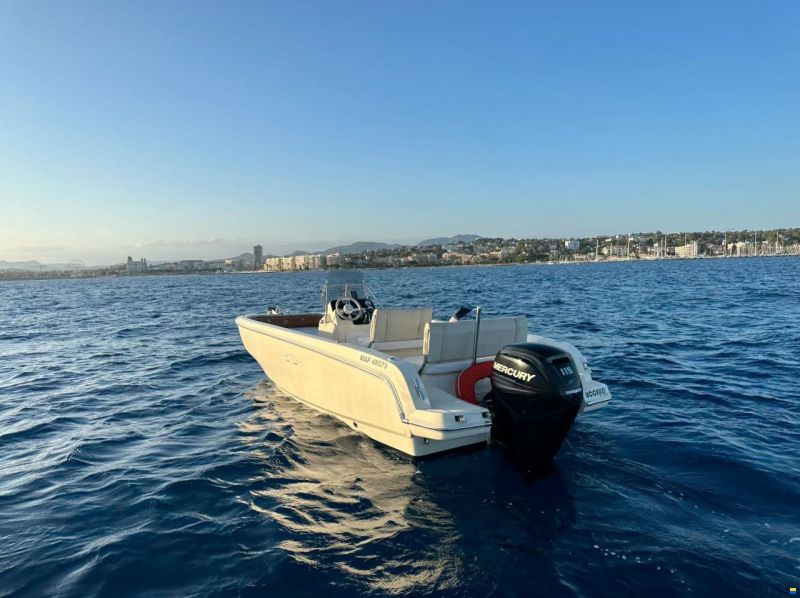 Invictus FX 190
