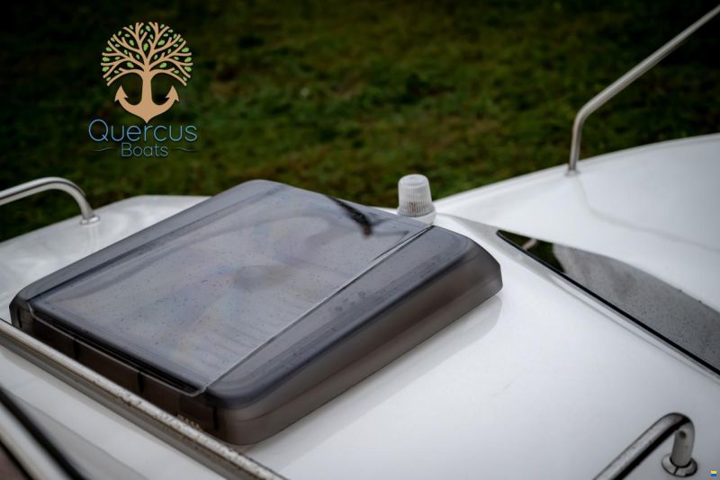 Quercus 430 Lux
