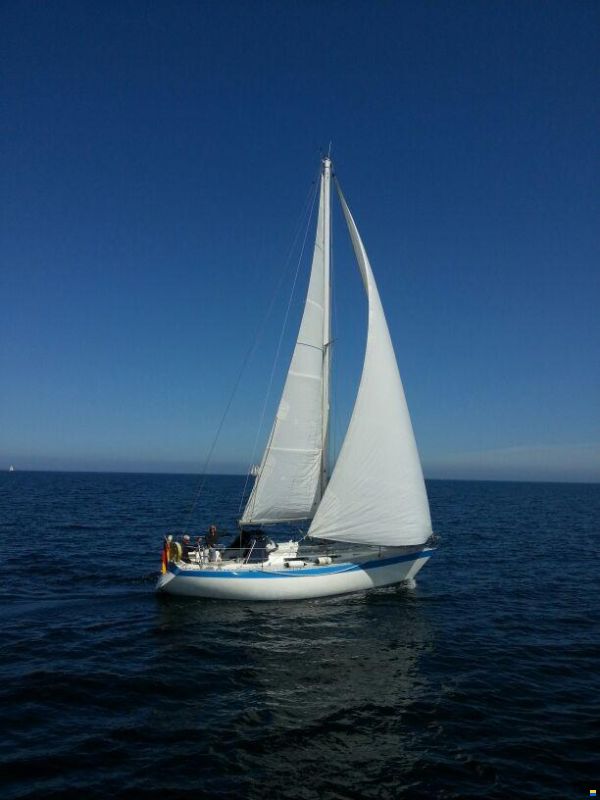Wauquiez Gladiateur 33